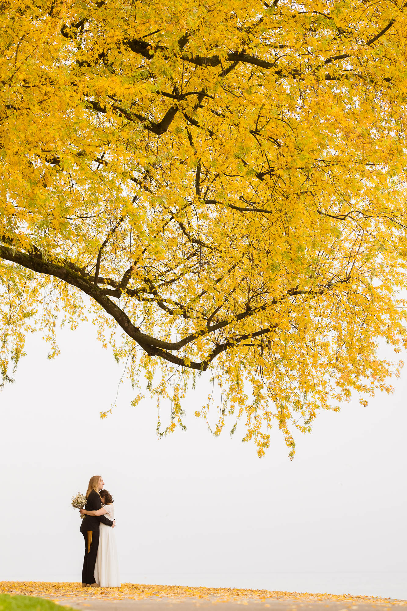 Export x3 1DX29367 Hochzeit 2020 Monika & Sharru 3